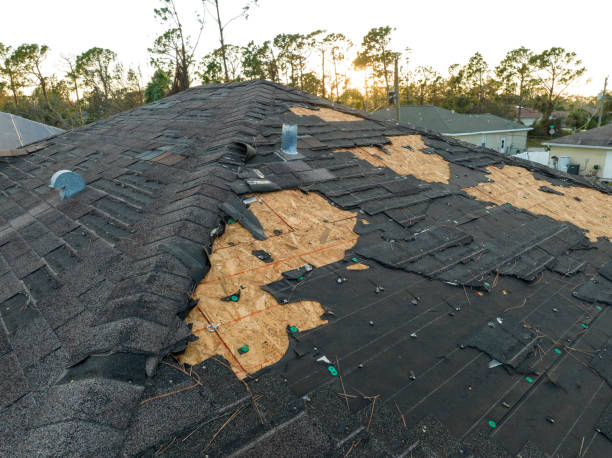 Best Skylight Installation and Repair  in Manchester, GA
