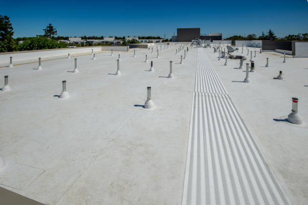 Best Roof Coating and Sealing  in Manchester, GA